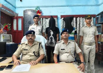 गुप्त सुचना के अधार पर STF टीम के सहयोग से आंदर थाना पुलिस द्वारा छापामारी कर 01 अपराधी को गिरफ्तार किया गया।