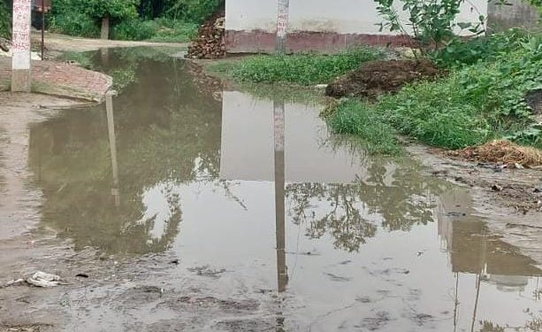 प्रखंड के गिरधरपुर नाहरपुर गांव को जोड़ने वाली सड़क पर का नल जल के पानी का पाइप फटने लगा जल जमाव
