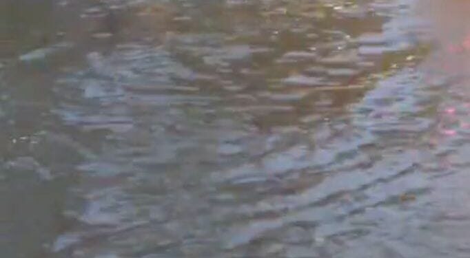 विजयीपुर थाना परिसर फिर हुआ जलमग्न, सिस्टम की बारिश ने खोल दी निकासी व्यवस्था की पोल