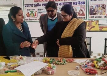 महिला स्वास्थ्य व बाल संरक्षण समिति के सुदृढ़ीकरण हेतु एक दिवसीय कार्यशाला।